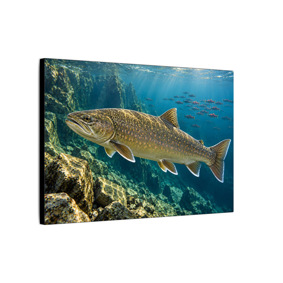 Pend Oreille Giant Bull Trout canvas, side angle