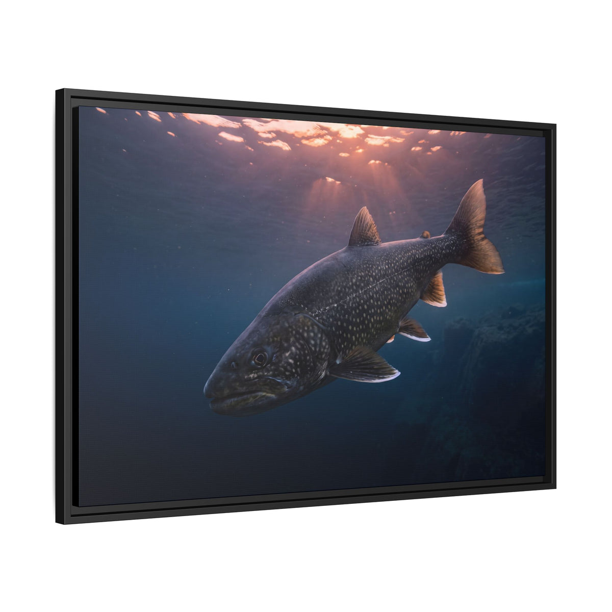 Twilight Rise Lake Trout framed canvas wall art, view 4