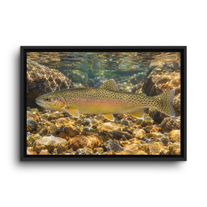 Amber Pebbles Gila Trout framed canvas wall art, view 2