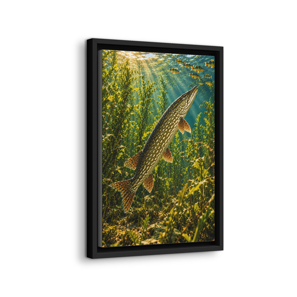 Northern Pike in the Weeds Underwater framed canvas wall art, view 4
