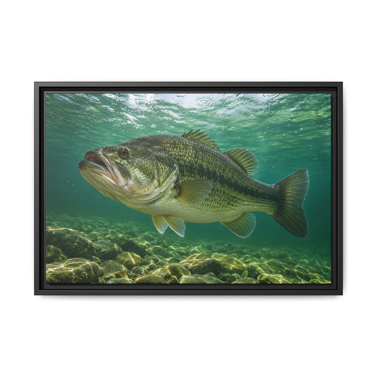 Emerald Rainlight Largemouth Bass framed canvas, 36x24 size view