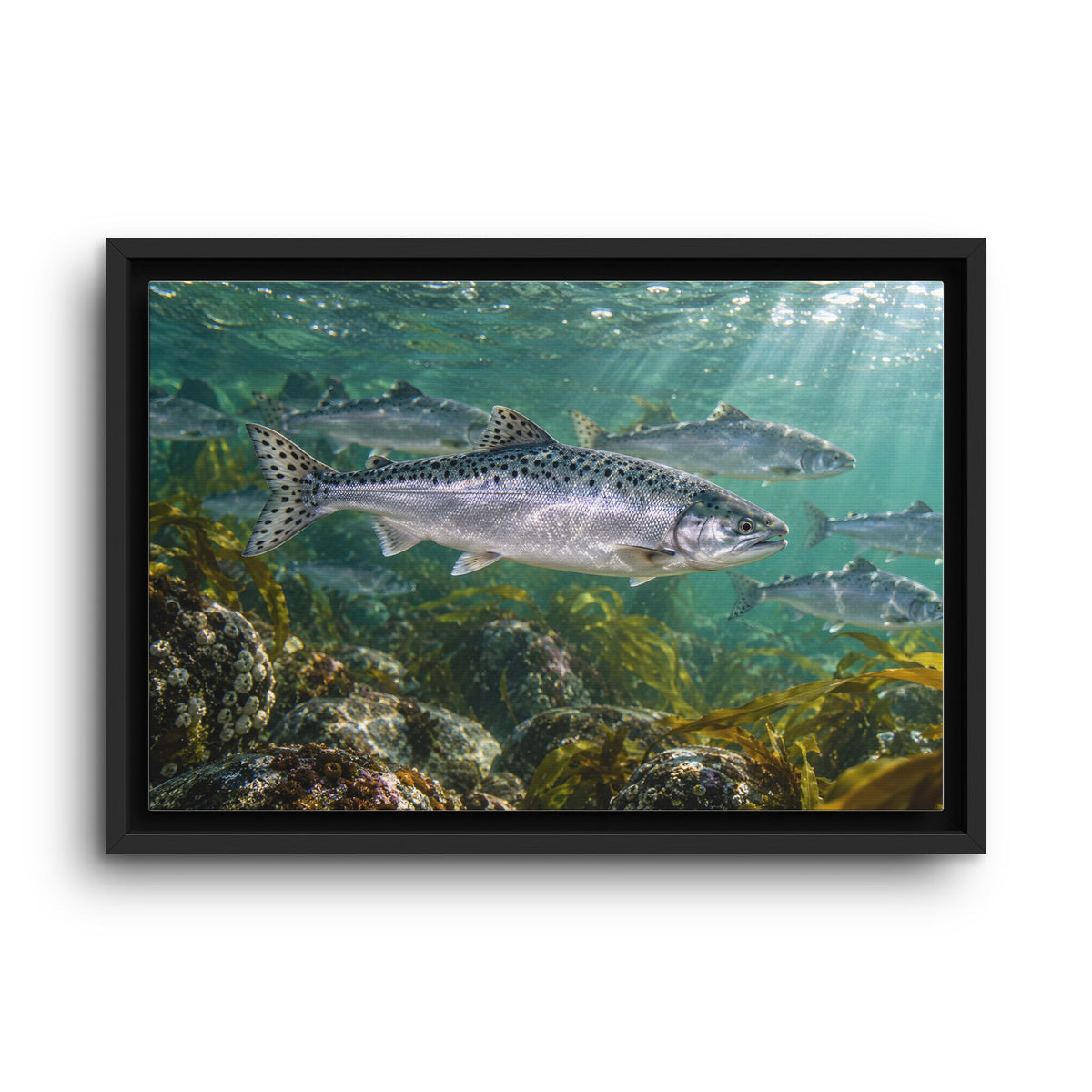 Lead the Run Pink Salmon framed canvas wall art