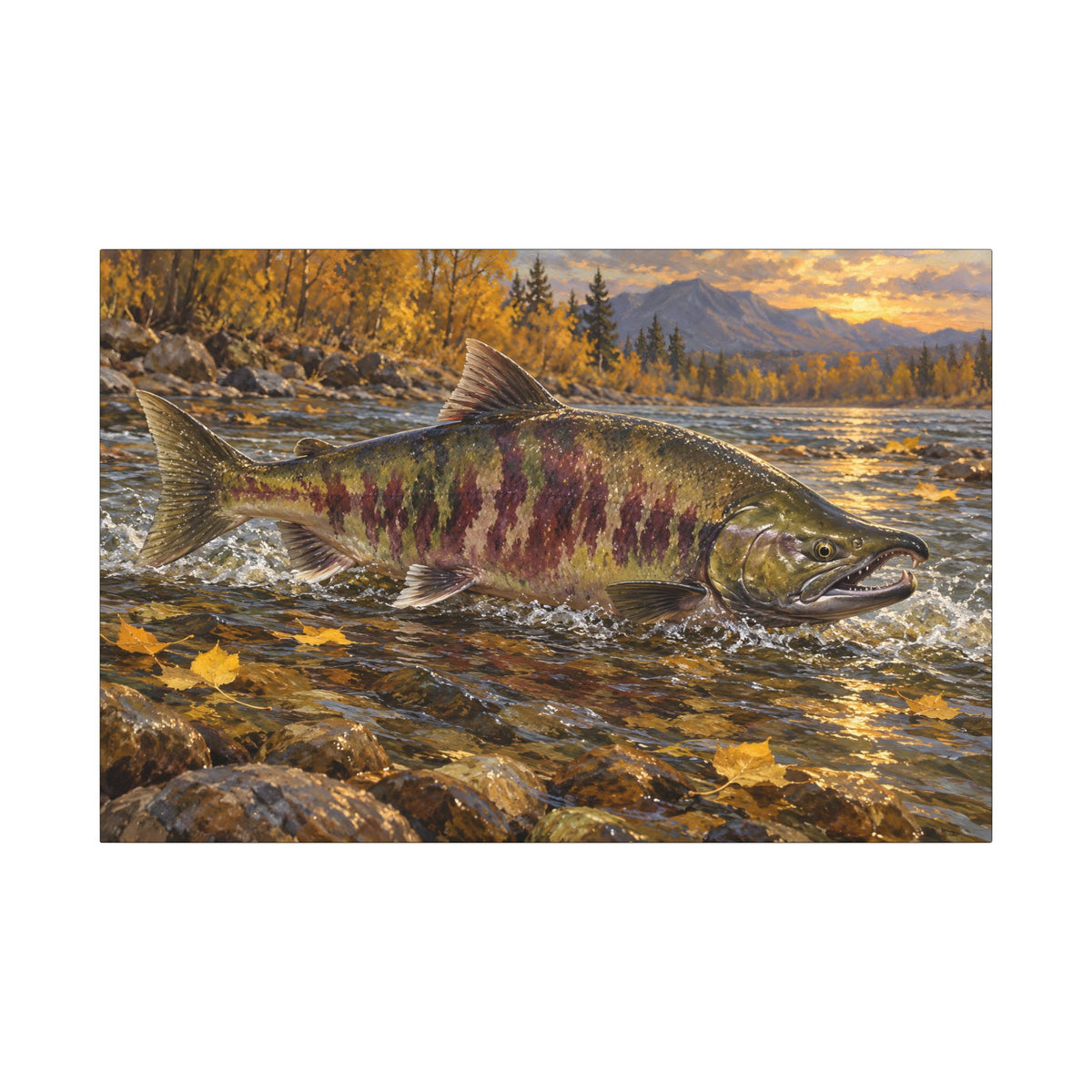 Autumn Riffle Chum Salmon canvas wall art, view 3