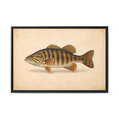 A classic natural-history study of a trophy smallmouth on cream parchment, fishing wall art framed canvas
