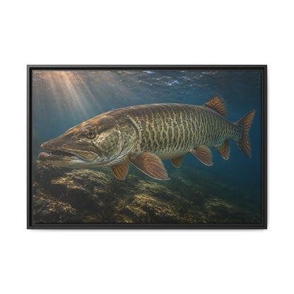 Toothy Close-Up Backlit Muskie framed canvas, 18x12 size view