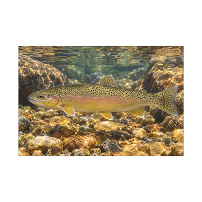Amber Pebbles Gila Trout canvas wall art, view 3