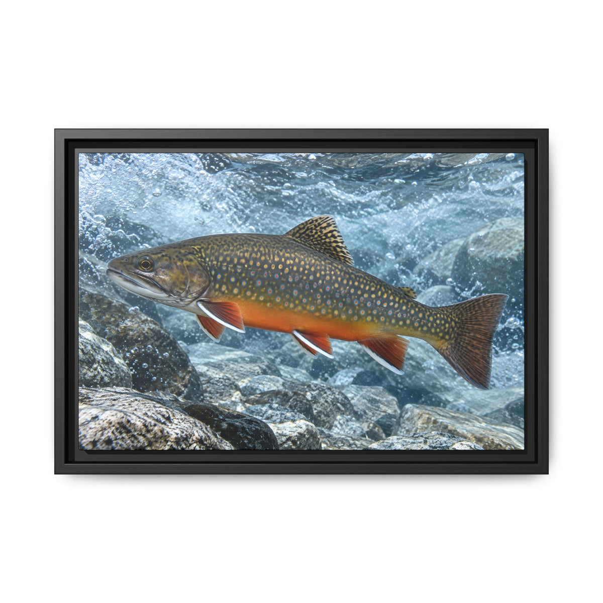 Snowmelt Run Brook Trout framed canvas wall art, view 2