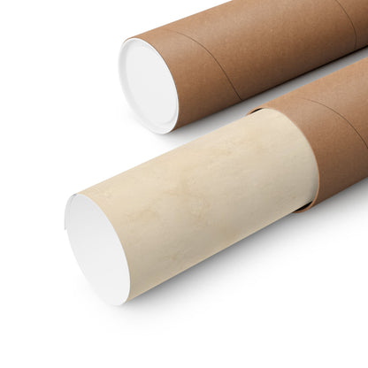 Brown Trout Field Study poster shipped rolled in a protective tube