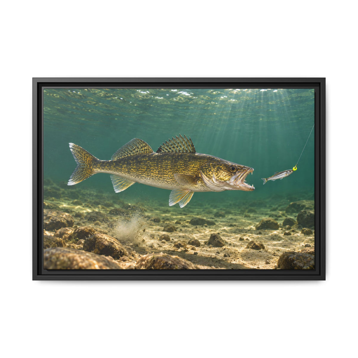 Jig and Minnow Strike Walleye framed canvas, 36x24 size view