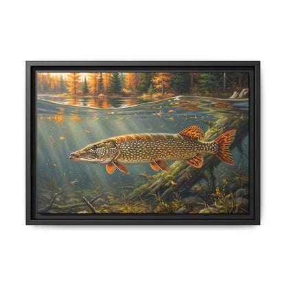 Tamarack Gold Northern Pike framed canvas, 24x16 size view