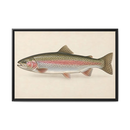 Rainbow Trout Field Study framed canvas wall art – photo 1