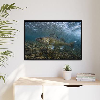 Cobbled Shallows Walleye framed canvas hanging in a living room