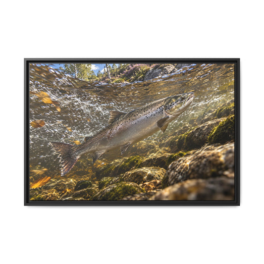 Home Through the Heather Salmon framed canvas wall art