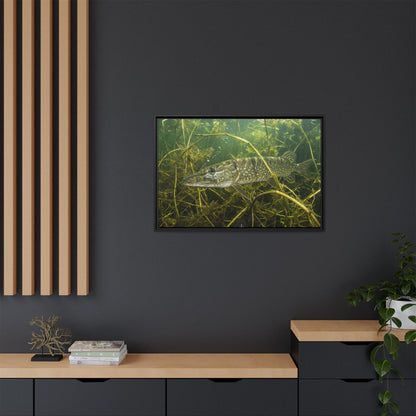 Weed Ambush Northern Pike framed canvas in a home office