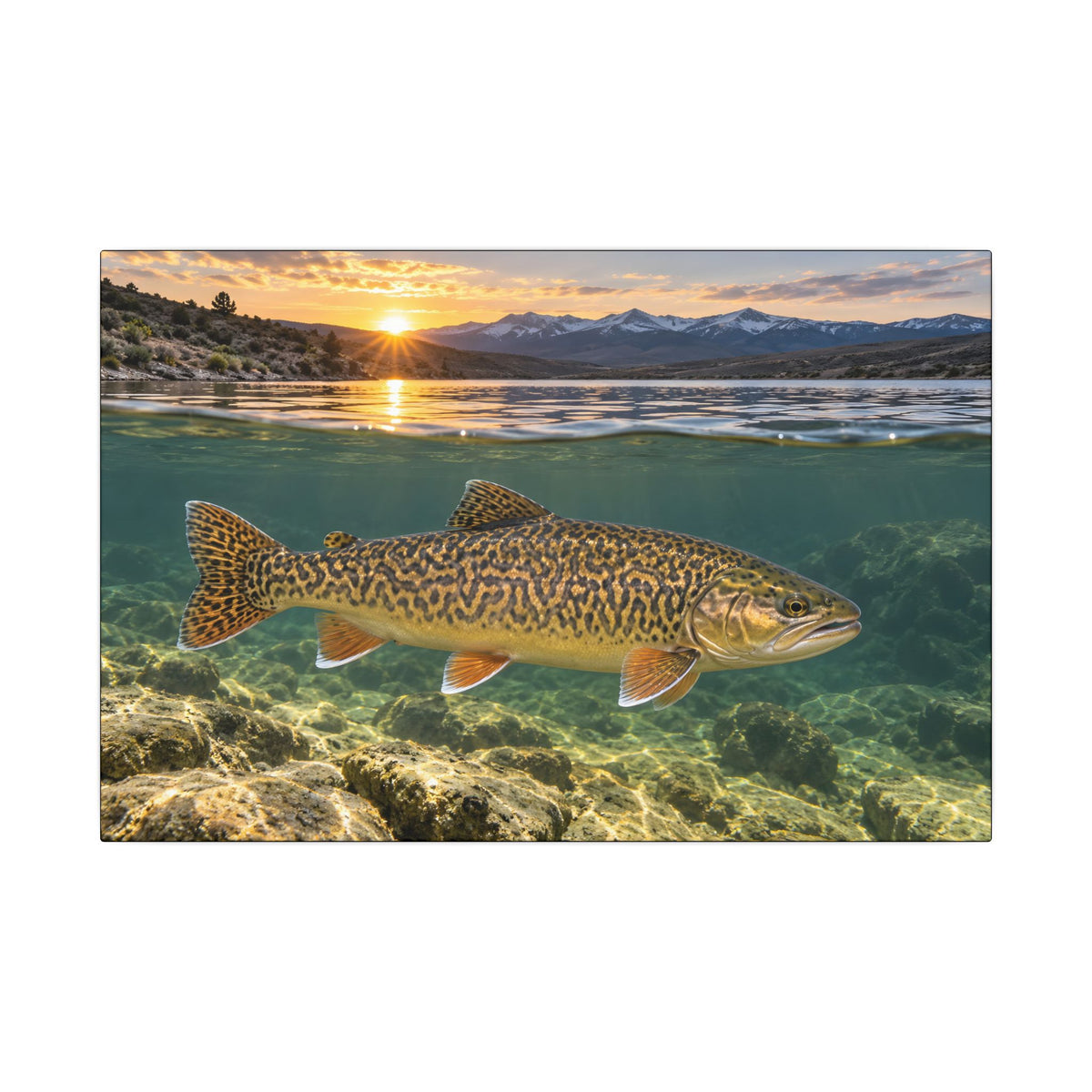 High Desert Sunrise Tiger Trout canvas wall art