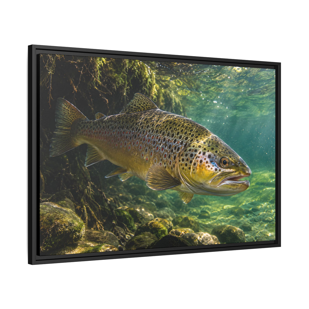 Granite Current Brown Trout framed canvas wall art, view 4