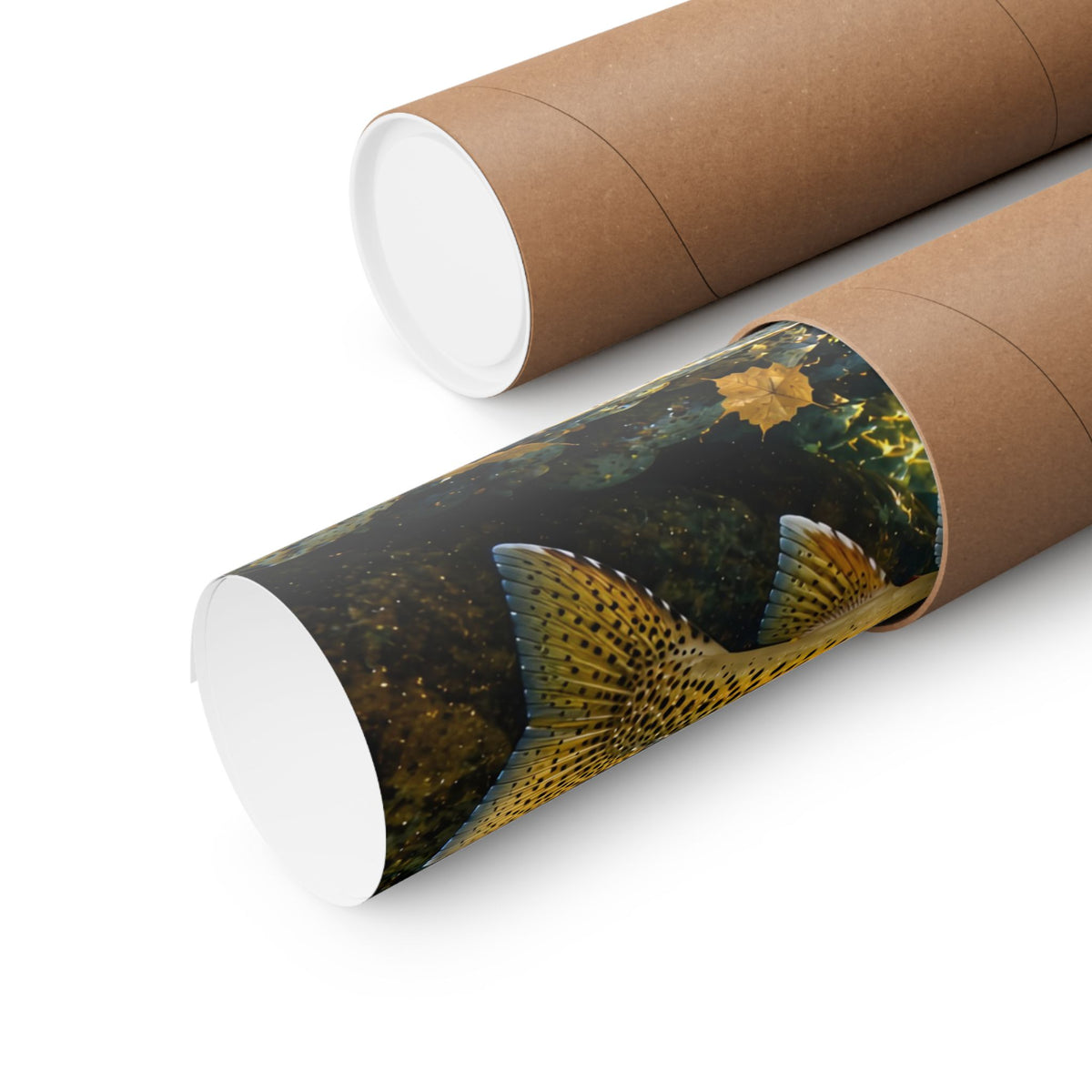 St. Joe Autumn Cutthroat Trout poster shipped rolled in a protective tube