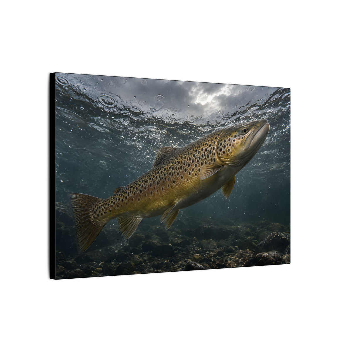 Rainwater Rise Brown Trout canvas wall art, view 4