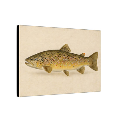 Brown Trout Field Study canvas side angle