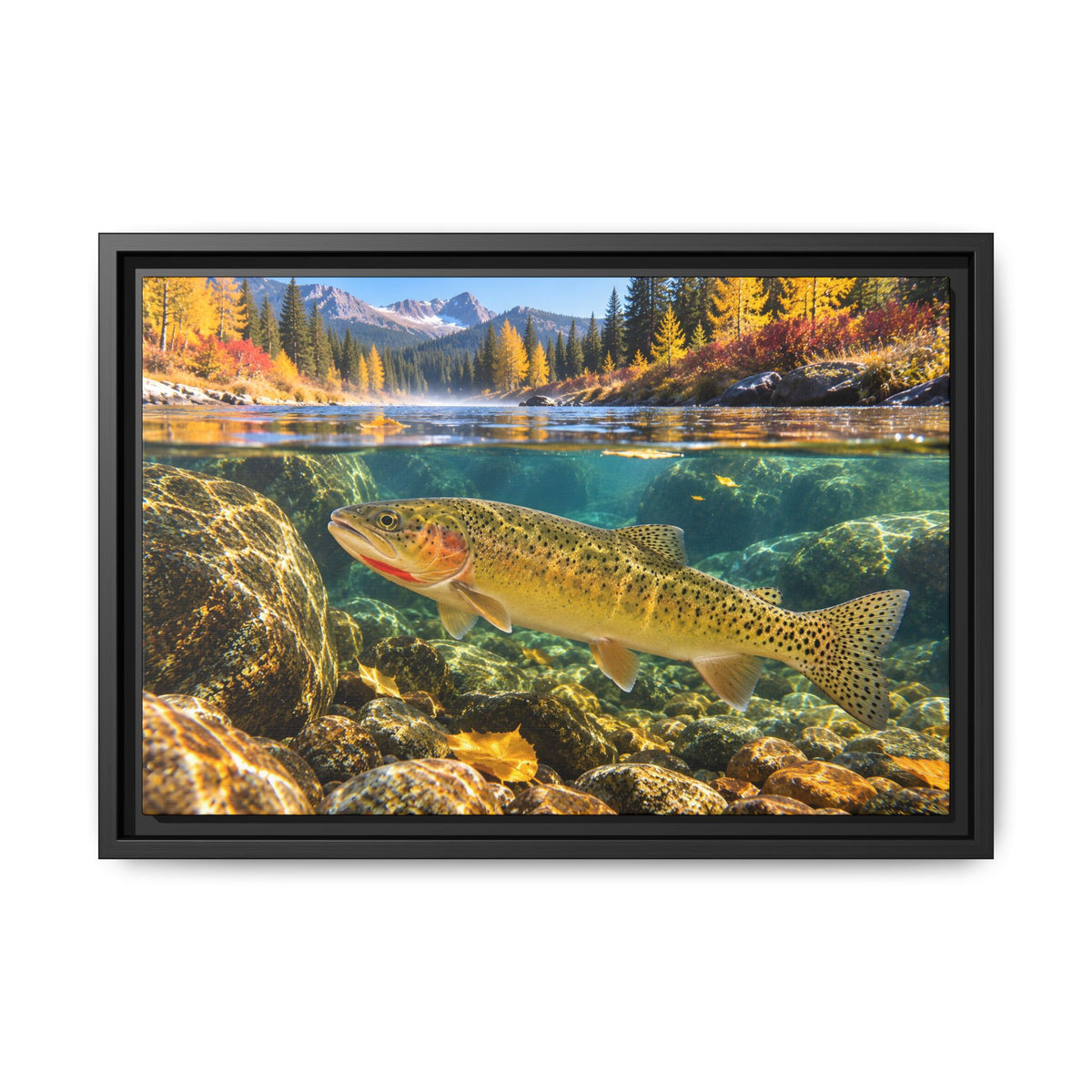 St. Joe Autumn Cutthroat Trout framed canvas, 18x12 size view