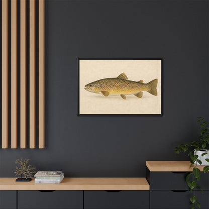Brown Trout Field Study framed canvas in a home office