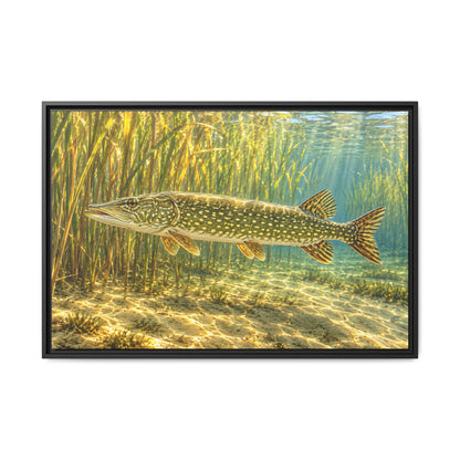 Sunlit Reed Edge Northern Pike framed canvas, 18x12 size view