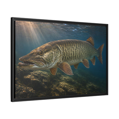 Toothy Close-Up Backlit Muskie framed canvas side angle
