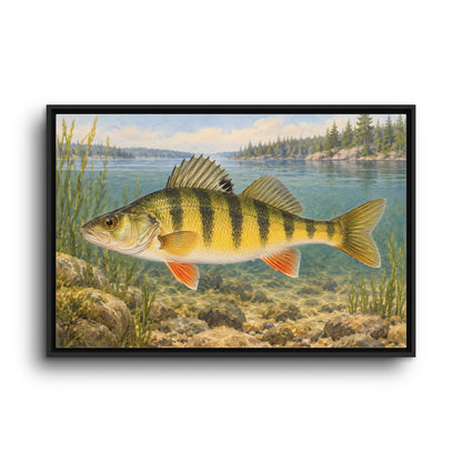 Field Guide Yellow Perch framed canvas wall art, view 3