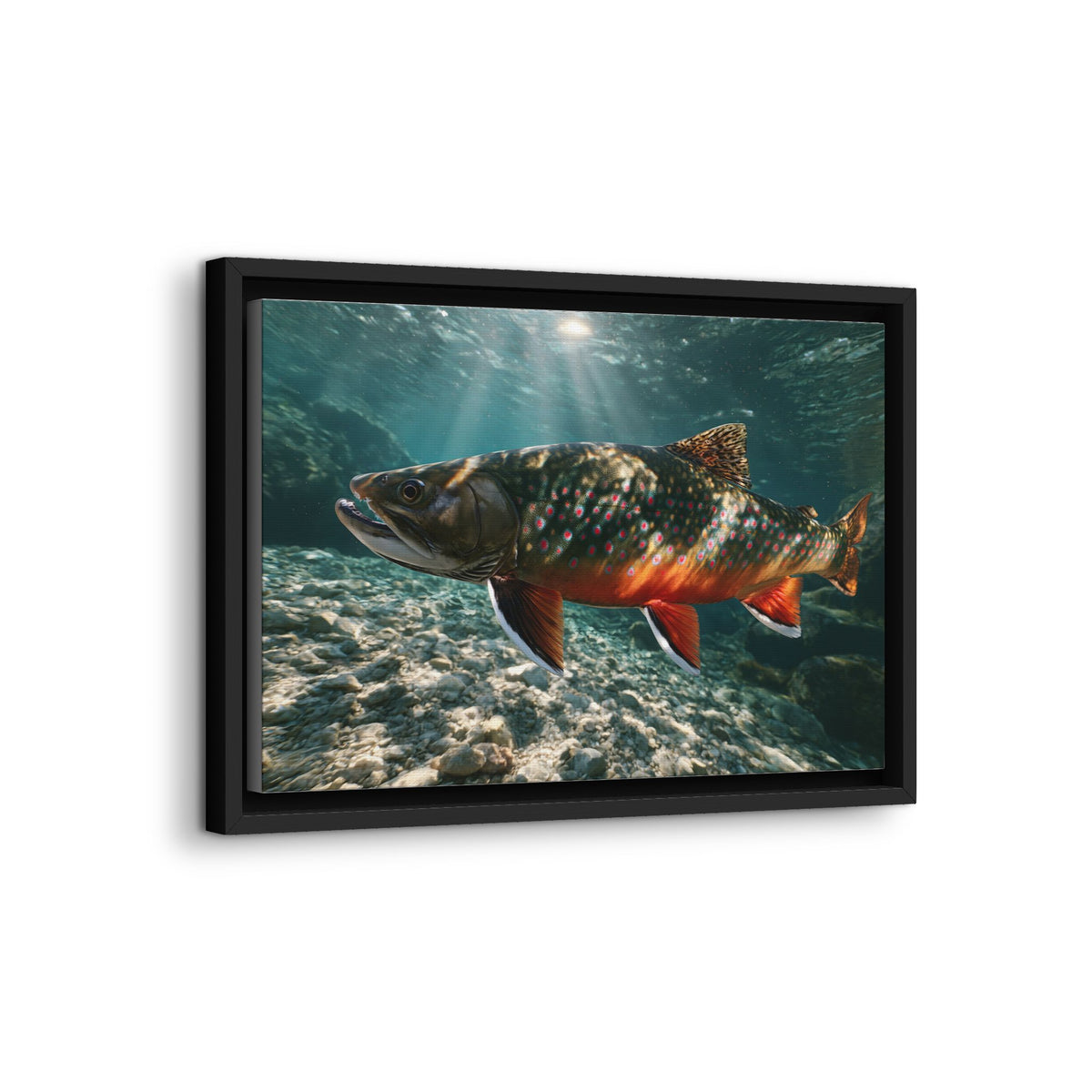 Sunbeam Gravel Dolly Varden framed canvas wall art, view 4