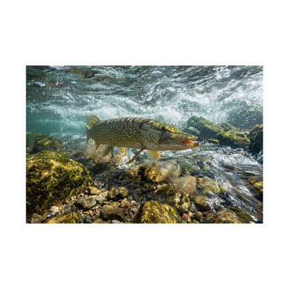 Northern Pike on the Current Seam Poster — River-Run Matte Wall Art for Anglers