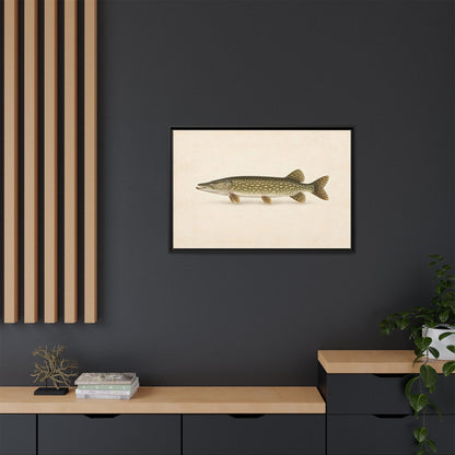 Northern Pike Field Study framed canvas in a home office