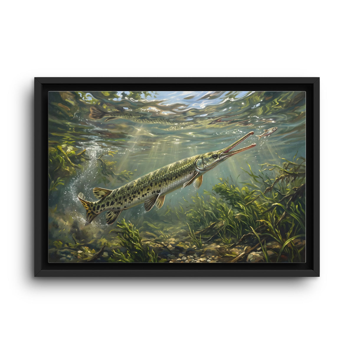 Longnose Gar Strike framed canvas wall art