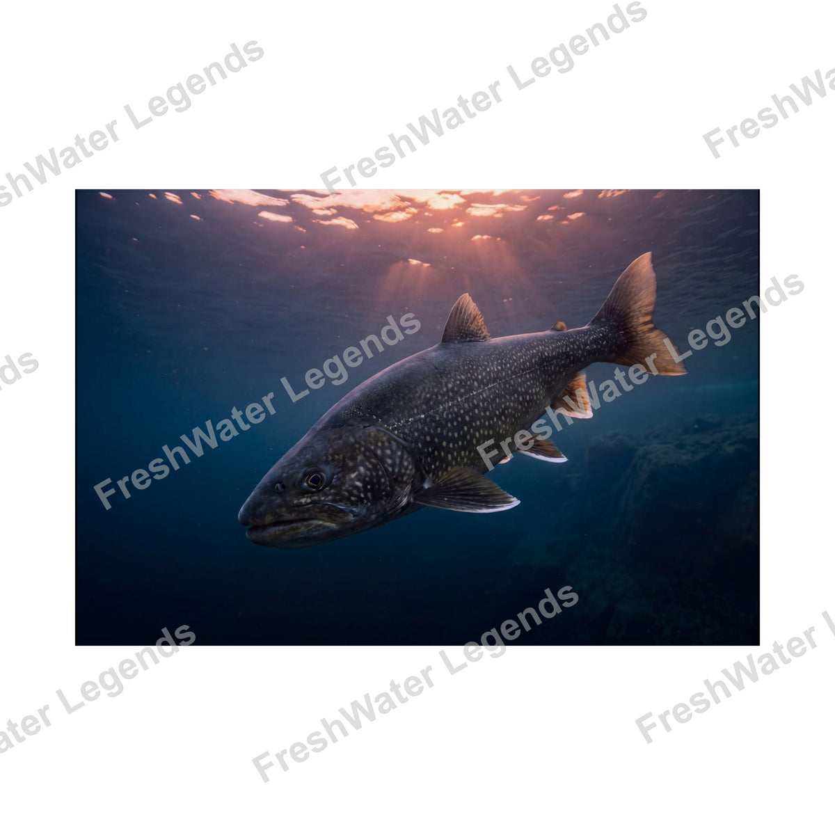 Lake Trout - Twilight Rise digital art print