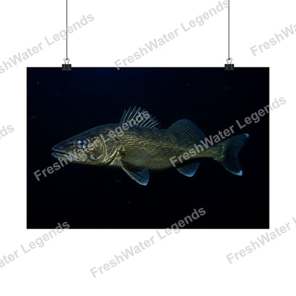 Walleye - Deep Black Water digital art print